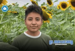 Miami más allá de la playa: cinco experiencias imperdibles para viajeros mexicanos Miami más allá de la playa: cinco experiencias imperdibles para viajeros mexicanos