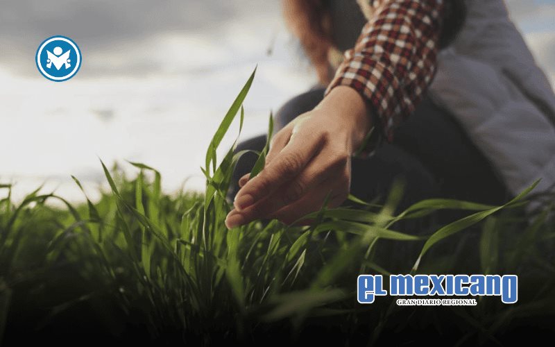 Líder campesino de Sinaloa pide aumentar presupuesto federal para el campo Líder campesino de Sinaloa pide aumentar presupuesto federal para el campo