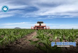Accidente en carretera Mérida-Campeche deja al menos 16 muertos