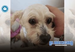 5 tips para ahorrar en las fiestas patrias