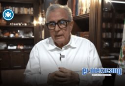 Cereza, perrita sobreviviente de la pipa en Iztapalapa, será operada para retirar piel muerta Cereza, perrita sobreviviente de la pipa en Iztapalapa, será operada para retirar piel muerta