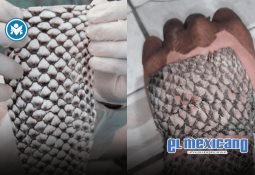 Seguro de coche: la inversión que protege tu patrimonio Seguro de coche: la inversión que protege tu patrimonio