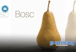 Panasonic dona 400 linternas solares a comunidades sin electricidad en Nepal Panasonic dona 400 linternas solares a comunidades sin electricidad en Nepal