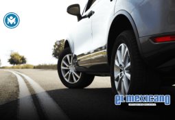 Sheinbaum exige a EU esclarecer muerte de migrante; alista nota diplomática Sheinbaum exige a EU esclarecer muerte de migrante; alista nota diplomática