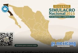 Productores de Sinaloa exigen que revisión del T-MEC priorice al campo mexicano