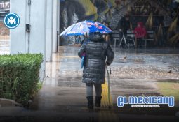 Araceli Brown bajo investigación por EE.UU. por nexos con Los Mayos Araceli Brown bajo investigación por EE.UU. por nexos con Los Mayos