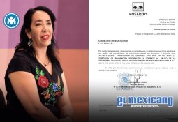 Lobo Marino es encontrado bajo puente de Ensenada