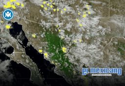 EU congela cuentas de diputada de Morena vinculada a La Mayiza