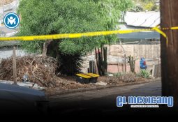 Mujer es hallada muerta en la colonia Chamizal