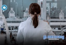 Claudia Sheinbaum afirma que UIF carece de pruebas suficientes contra diputada Araceli Brown Claudia Sheinbaum afirma que UIF carece de pruebas suficientes contra diputada Araceli Brown