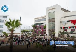 Alianza entre AIMO y Zonkeys busca unir a la industria y la comunidad Alianza entre AIMO y Zonkeys busca unir a la industria y la comunidad