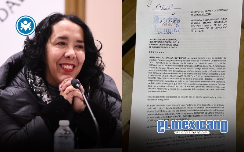 Diputado de MC impulsa juicio político contra Hilda Araceli Brown