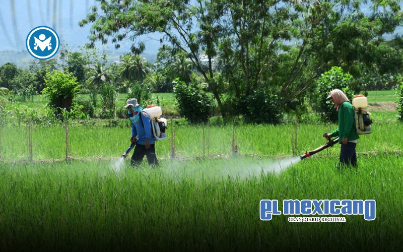 Combatir plaguicidas ilegales, verdadero desafío en la agricultura