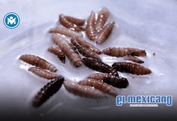 La jornada laboral de 40 horas costará hasta 30% más; Intelexion llama a anticipar con tecnología La jornada laboral de 40 horas costará hasta 30% más; Intelexion llama a anticipar con tecnología