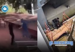 Sabor a Patria, así evoluciona la industria del helado Hecho en México