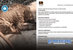 Indio lanza "Agave", nueva cerveza que celebra las raíces mexicanas