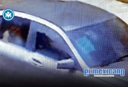 "Fenrir, el dios lobo": la mitología nórdica cobra vida en el Foro La Gruta