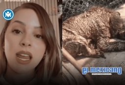 Mega apagón deja sin luz a toda la Península de Yucatán