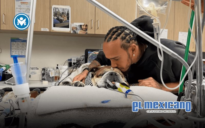Lewis Hamilton se ausenta de test de F1 por su perro Roscoe Lewis Hamilton se ausenta de test de F1 por su perro Roscoe