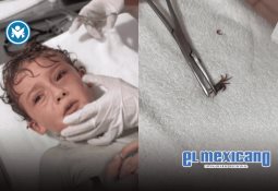 Adulto mayor pierde la vida tras caer de un pick up en movimiento en La Paz Adulto mayor pierde la vida tras caer de un pick up en movimiento en La Paz