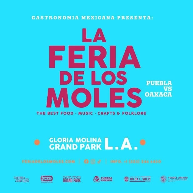 imagen-cuerpo imagen-cuerpo