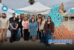 Ensenada aprueba 40 minutos de estacionamiento gratuito en centros comerciales