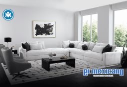 Avión en Periférico Sur sorprende a CDMX