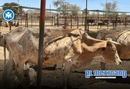 Cómo unirte al 6AM Club (sin dormirte en el intento)