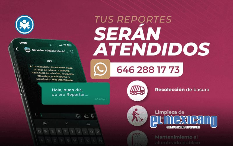 Gobierno pide reportes de basura únicamente vía WhatsApp Gobierno pide reportes de basura únicamente vía WhatsApp