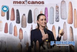 Edulcorantes no calóricos: seguros, efectivos y aliados contra la obesidad y la diabetes