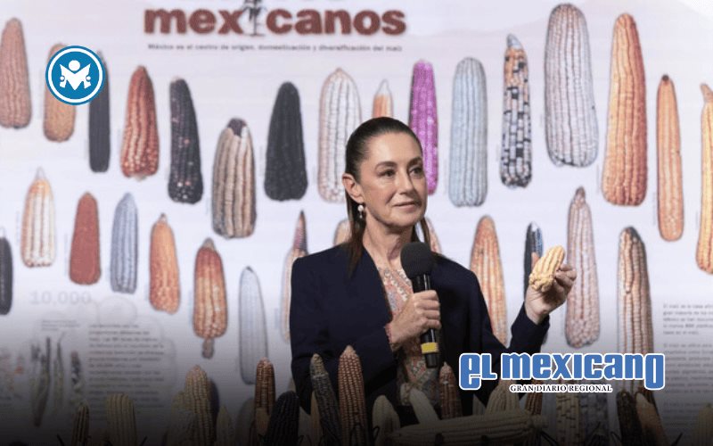 Sheinbaum lanza programa Sin maíz no hay país para proteger maíces nativos y apoyar a productores