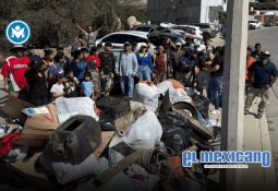 Nación Verde lleva la naturaleza al Congreso Nacional de Universidades Promotoras de la Salud