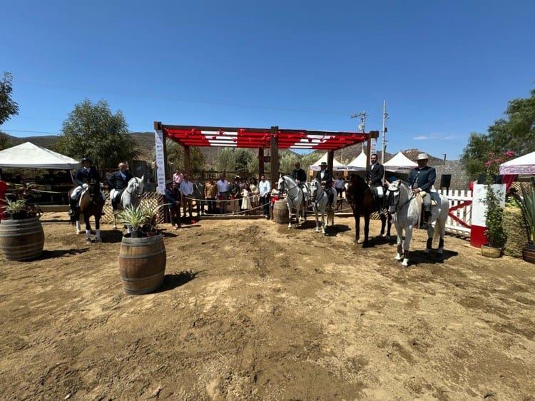 imagen-cuerpo imagen-cuerpo