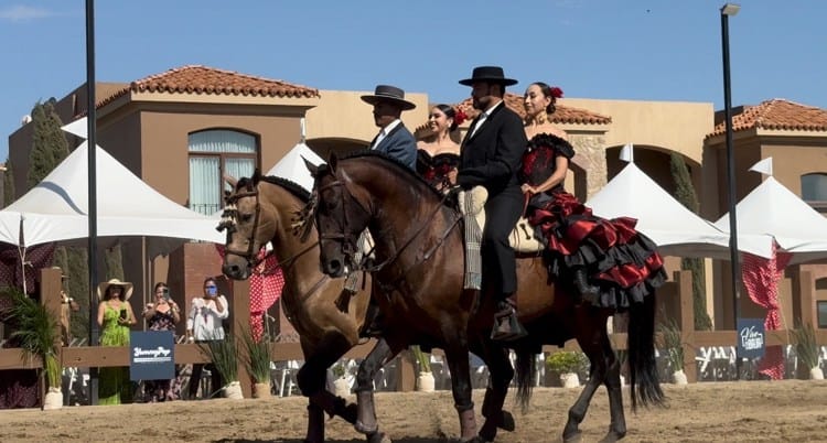 imagen-cuerpo imagen-cuerpo