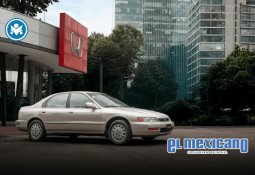 Diputados aprueban prohibir venta de bebidas energéticas a menores