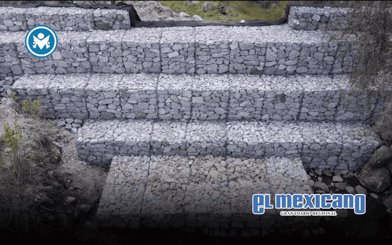 P&G y Pronatura restauran la Sierra de Guadalupe y devuelven agua a millones