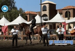 Especialistas advierten riesgos de las reformas fiscales y a la Ley de Amparo para 2026 Especialistas advierten riesgos de las reformas fiscales y a la Ley de Amparo para 2026