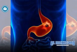 Sheinbaum envía iniciativa para devolver el agua como recurso nacional