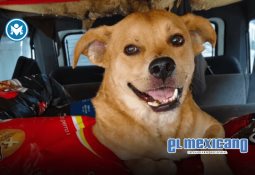 Realizarán por primera vez en Tijuana el Encuentro Binacional de Discapacidad Soy Capaz Realizarán por primera vez en Tijuana el Encuentro Binacional de Discapacidad Soy Capaz