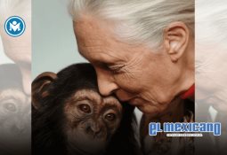 Millones de dispositivos en riesgo por fin del soporte de Windows 10