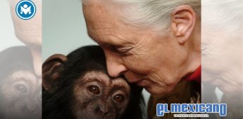 Fallece Jane Goodall a los 91 años, deja legado inmortal tras labor hacia los primates