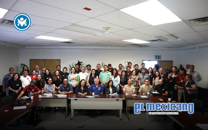 Fortalecen plan de acción para rescate de bosques de macroalgas Fortalecen plan de acción para rescate de bosques de macroalgas