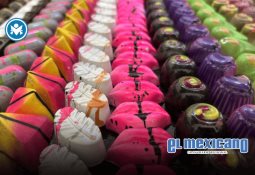 Denuncian descuido hacia elefante Monty en La Pastora Denuncian descuido hacia elefante Monty en La Pastora