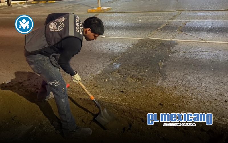 Inician trabajos de reposici&oacute;n de losas en avenida Reforma: CAM