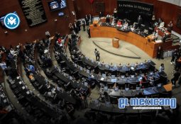 Seis mexicanos detenidos en Israel aceptan repatriación voluntaria, confirma la SRE