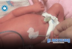 Arranca en Baja California la Secretar&iacute;a de las Mujeres para impulsar igualdad y protecci&oacute;n