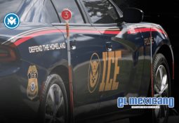 Greta Thunberg y otros 171 activistas deportados tras la Flotilla Global Sumud Greta Thunberg y otros 171 activistas deportados tras la Flotilla Global Sumud