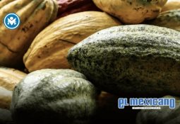 Profesionalización en cobranza es el muro contra la morosidad