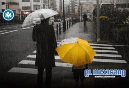 México y Canadá impulsan comercio agroalimentario con nuevo plan estratégico