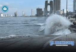 Sheinbaum destaca reducción del 32% en homicidios dolosos